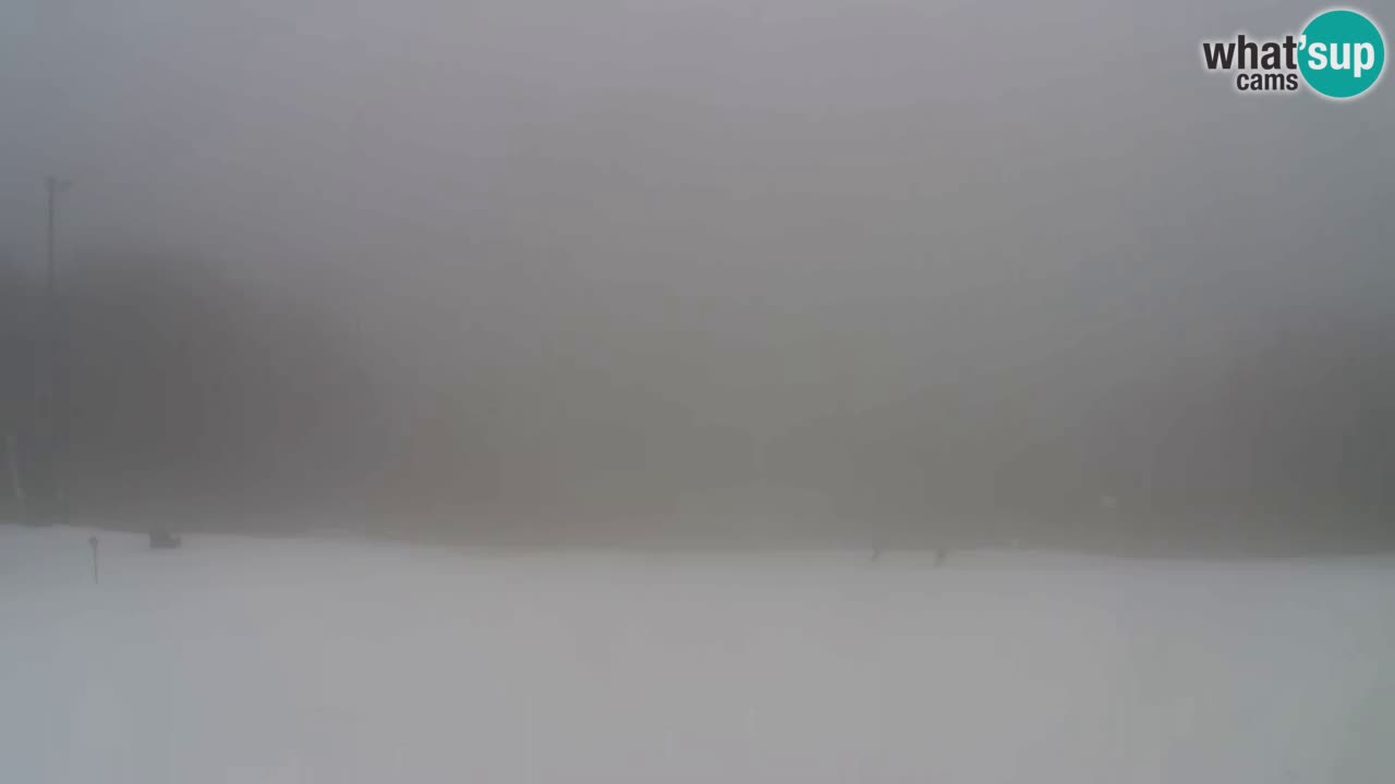 Webcam Pohorje Trikotna Jasa | Poštela