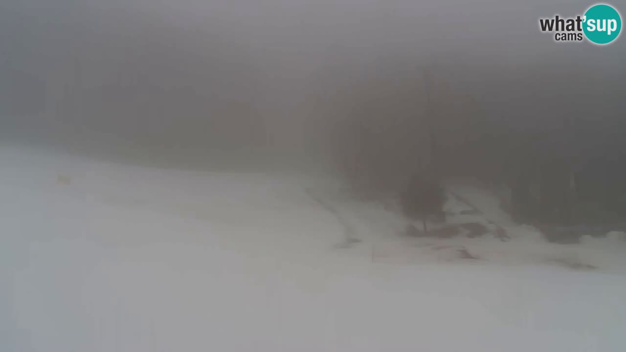 Web Camera Pohorje Trikotna Jasa | Poštela