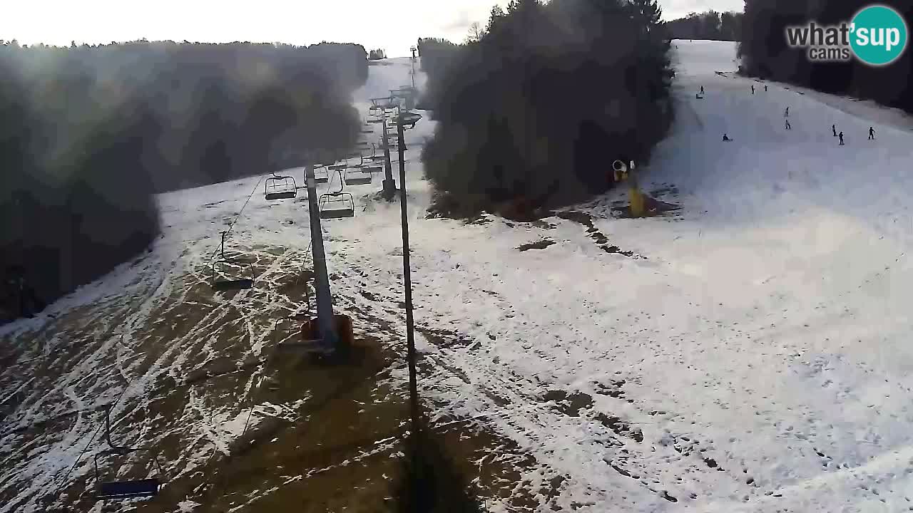Webcam Pohorje Trikotna Jasa | Poštela