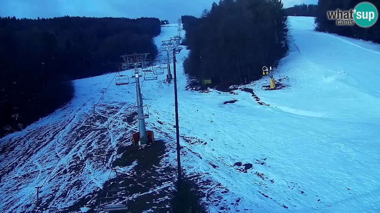 Webcam Pohorje Trikotna Jasa | Poštela
