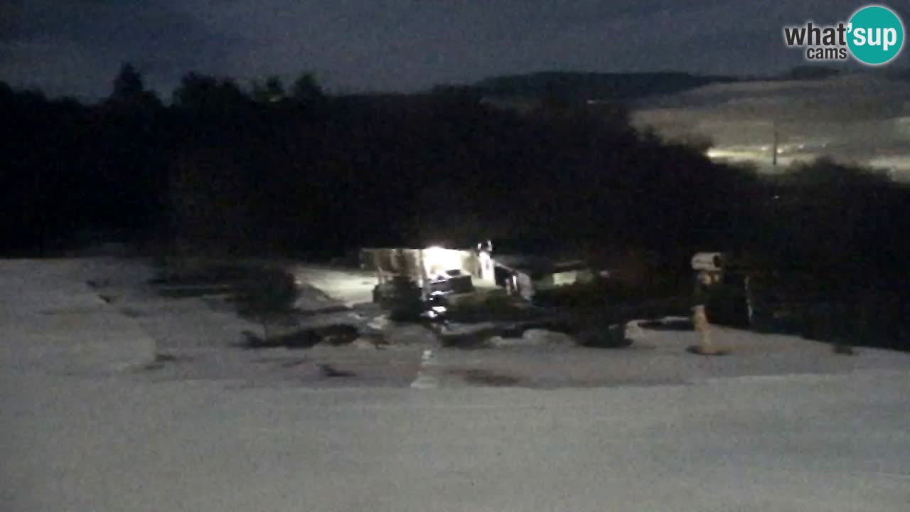 Web Camera Pohorje Trikotna Jasa | Poštela