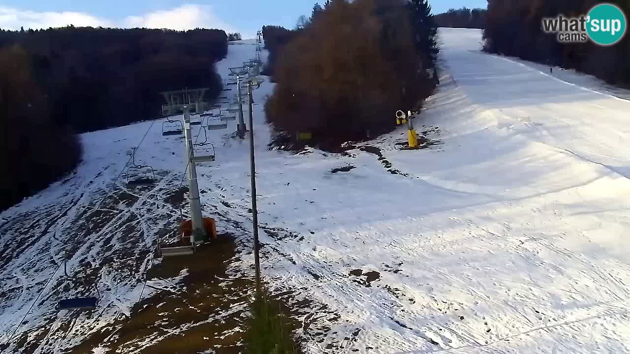 Webcam Pohorje Trikotna Jasa | Poštela