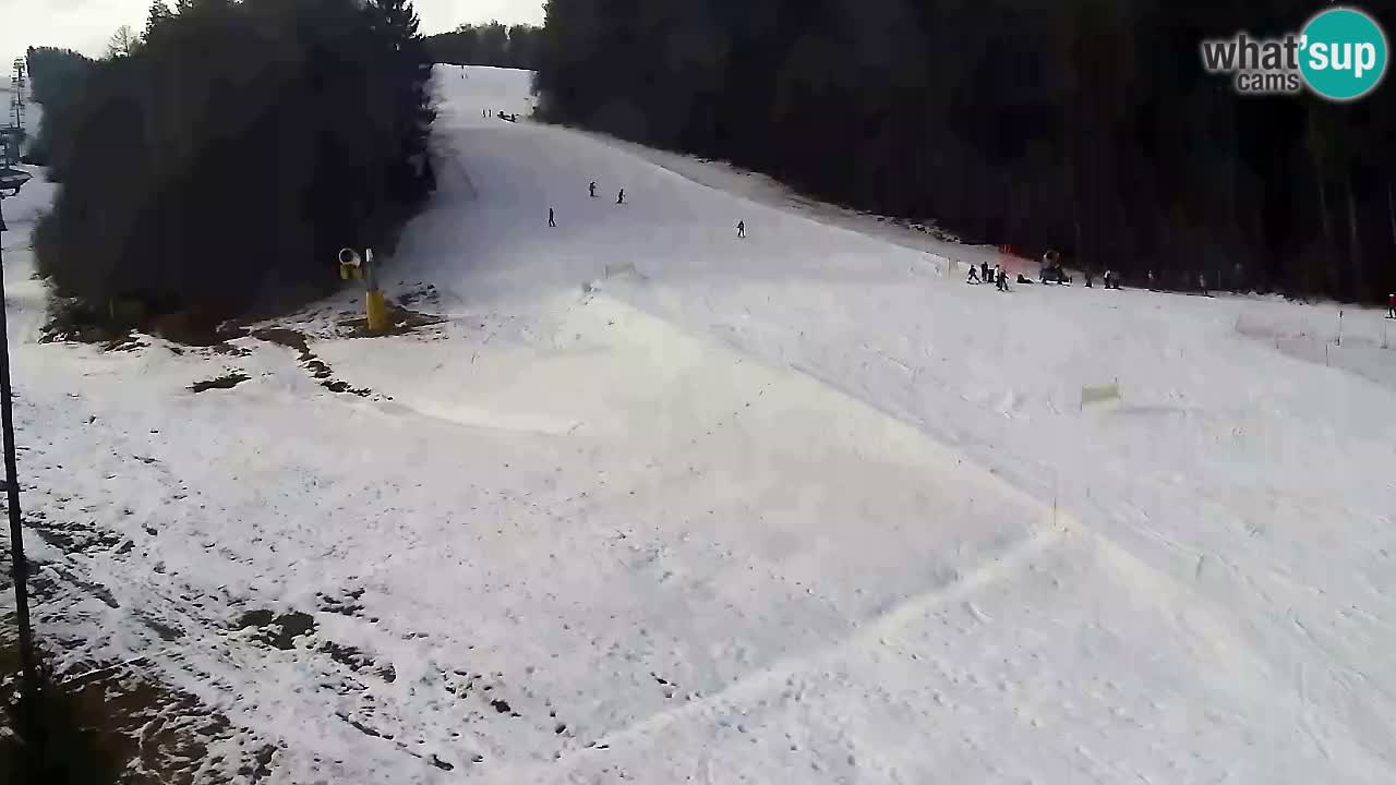 Web kamera Pohorje Trikotna Jasa | Poštela