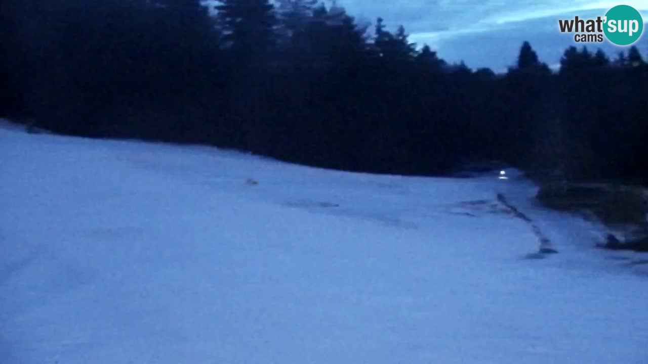 Spletna Kamera Pohorje Trikotna Jasa | Poštela