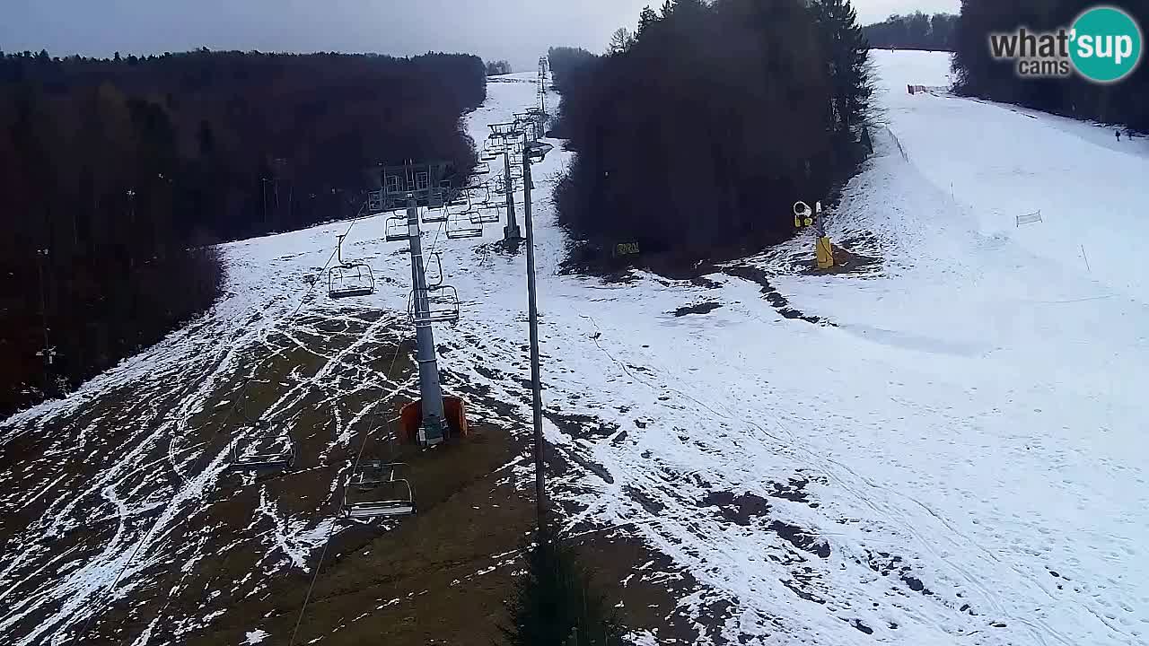 Web kamera Pohorje Trikotna Jasa | Poštela