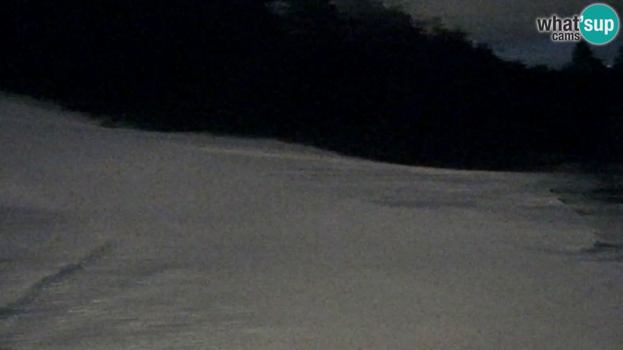 Webcam Pohorje Trikotna Jasa | Poštela