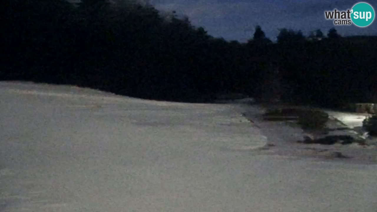 Webcam Pohorje Trikotna Jasa | Poštela