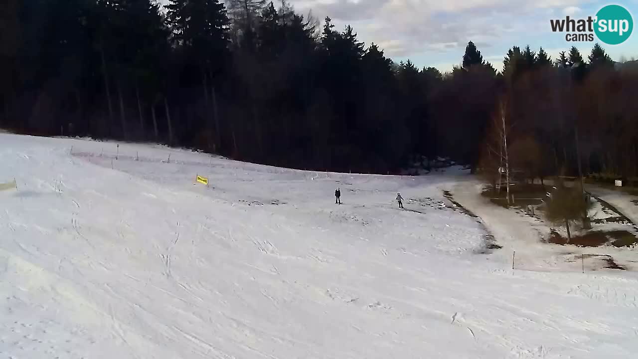 Web Camera Pohorje Trikotna Jasa | Poštela