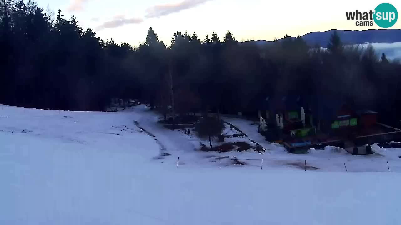 Spletna Kamera Pohorje Trikotna Jasa | Poštela