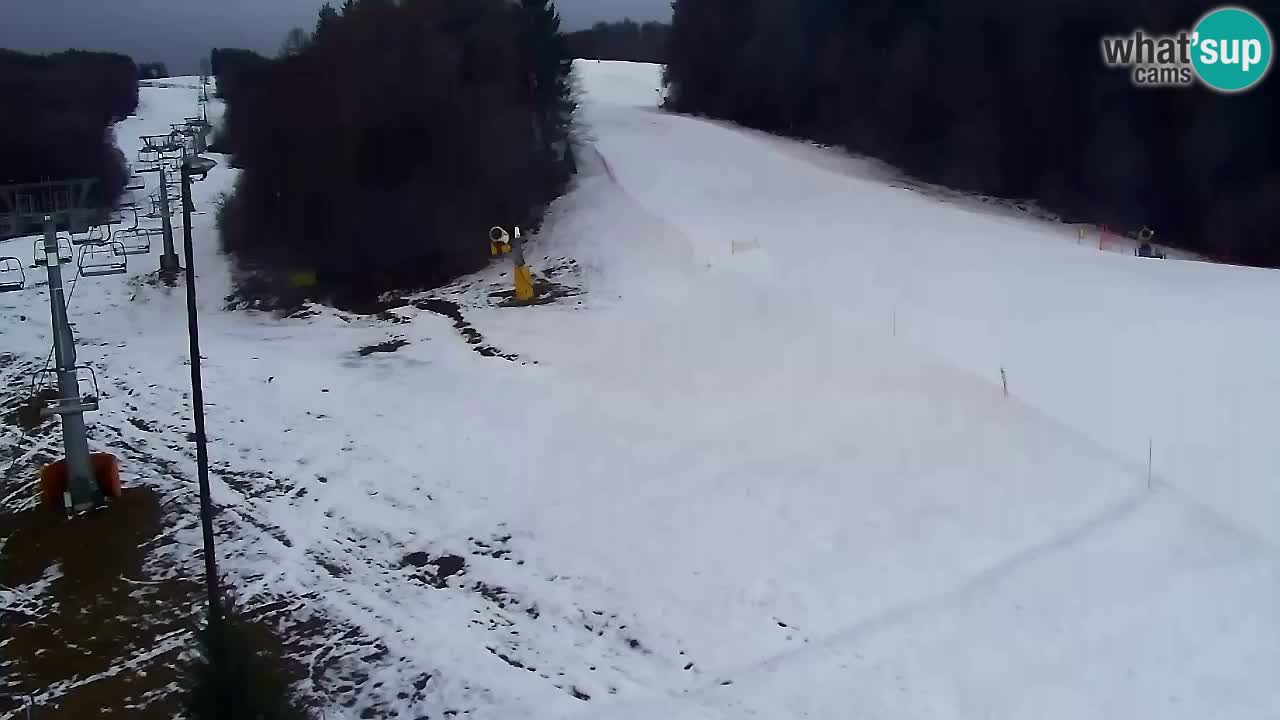 Webcam Pohorje Trikotna Jasa | Poštela