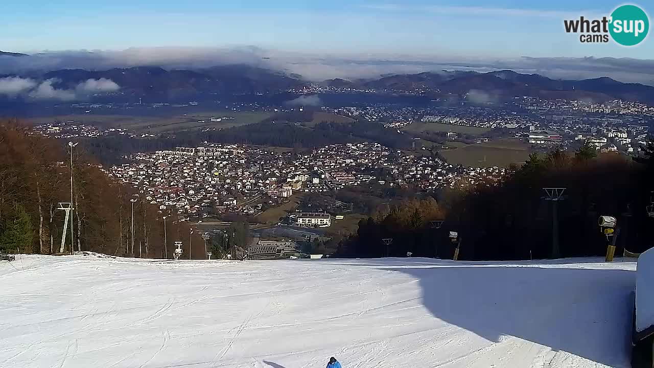 Spletna Kamera Pohorje Trikotna Jasa | Poštela