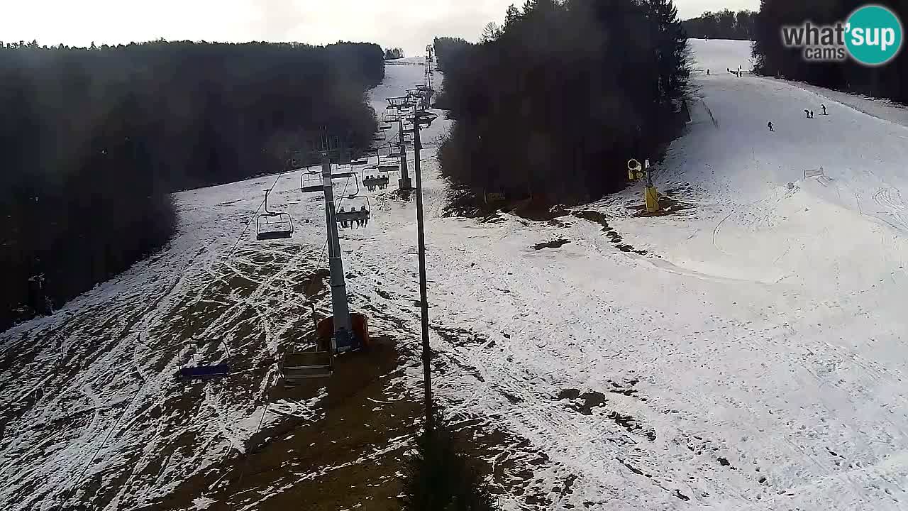Webcam Pohorje Trikotna Jasa | Poštela
