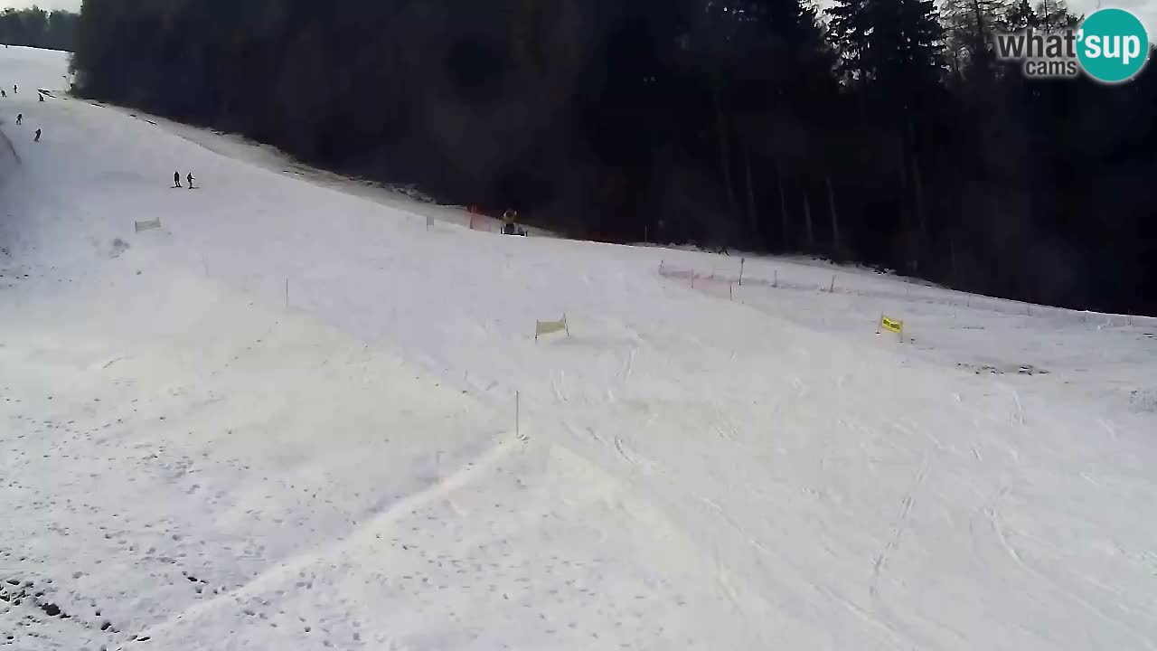 Webcam Pohorje Trikotna Jasa | Poštela