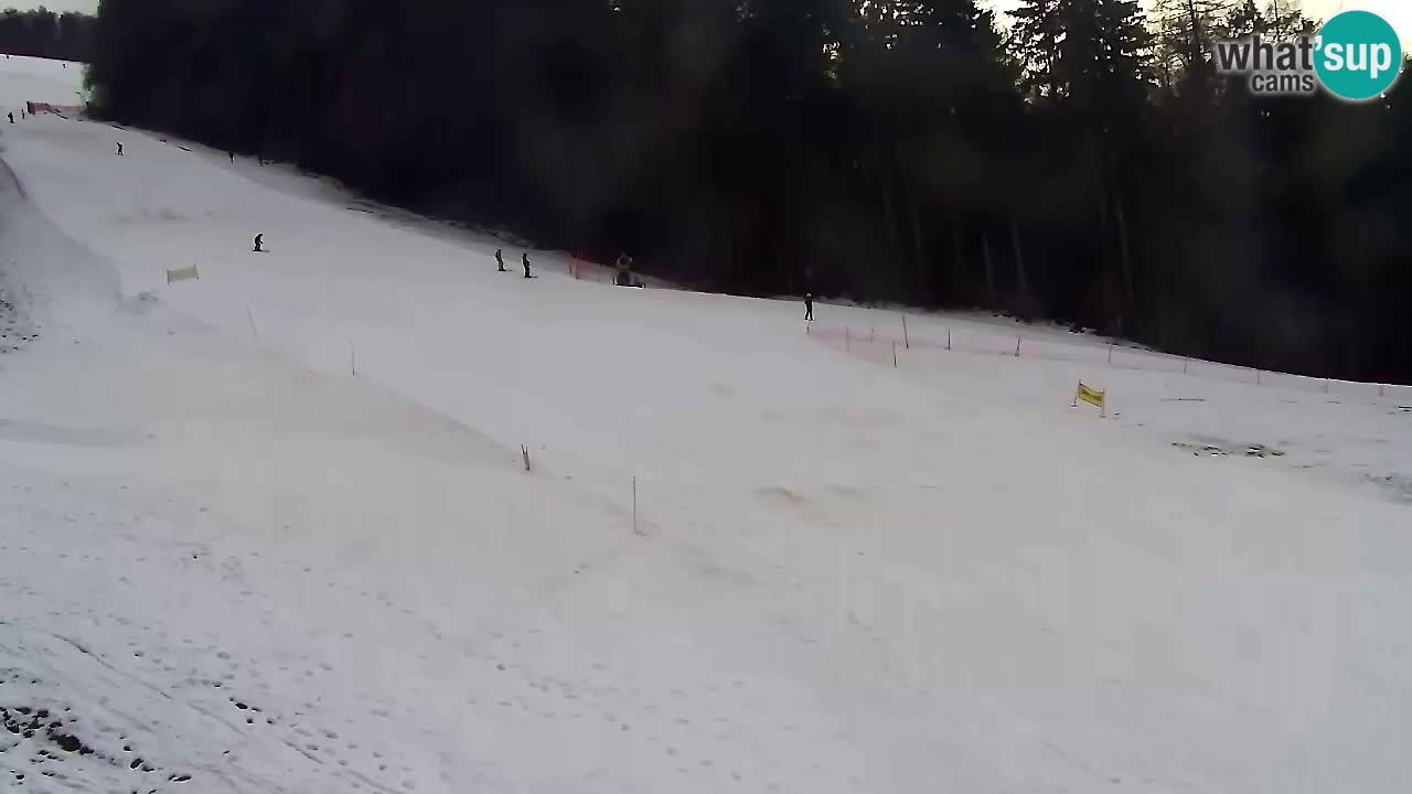 Webcam Pohorje Trikotna Jasa | Poštela