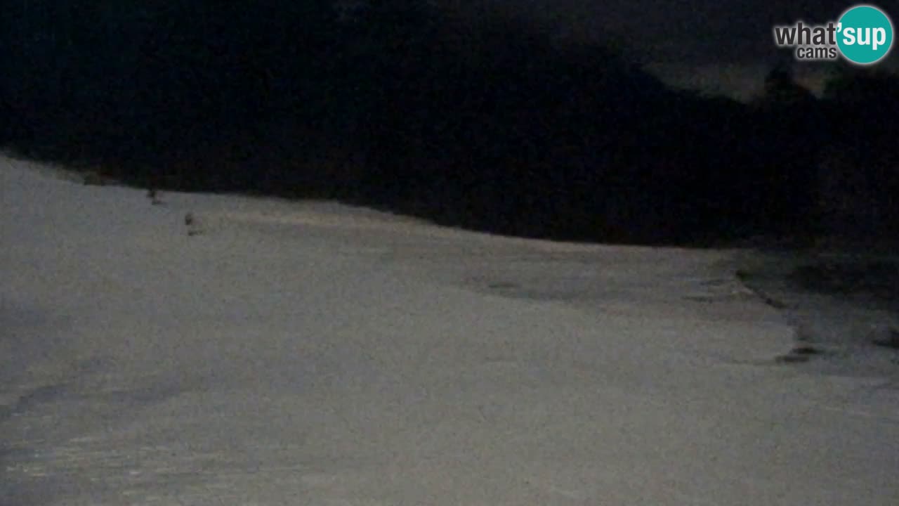 Webcam Pohorje Trikotna Jasa | Poštela