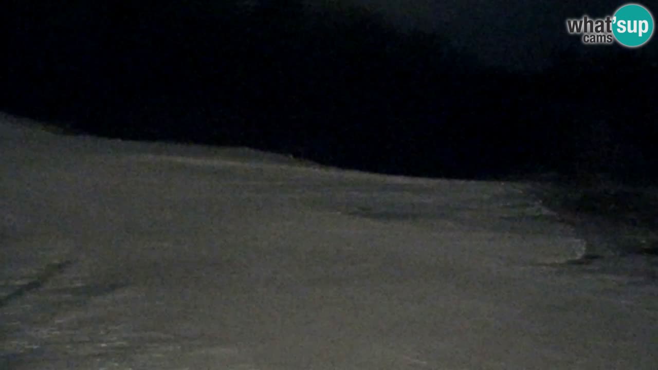 Webcam Pohorje Trikotna Jasa | Poštela