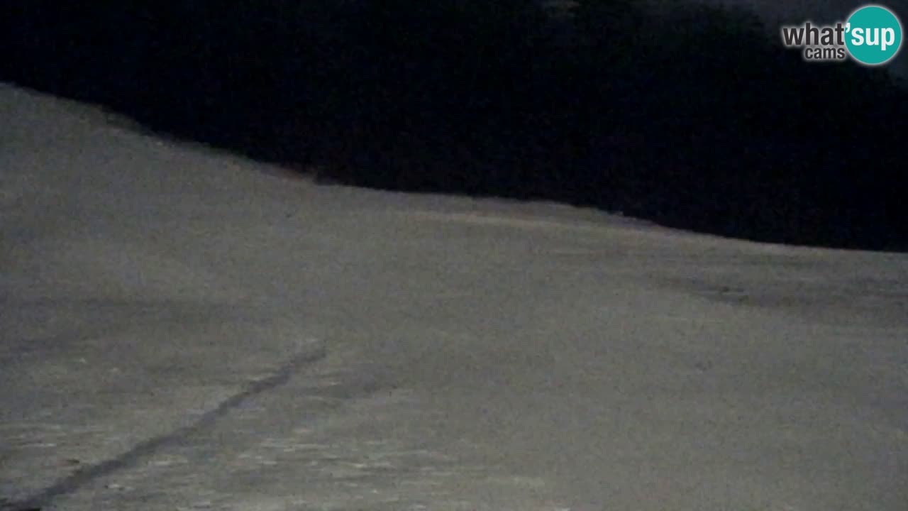 Webcam Pohorje Trikotna Jasa | Poštela