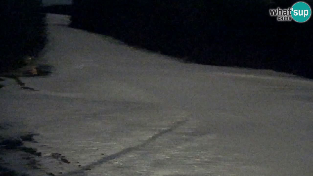 Web kamera Pohorje Trikotna Jasa | Poštela