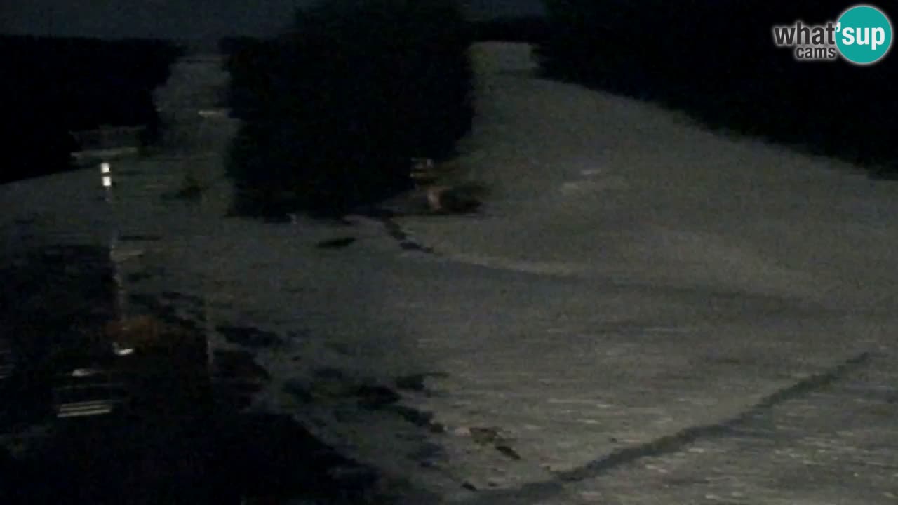 Webcam Pohorje Trikotna Jasa | Poštela