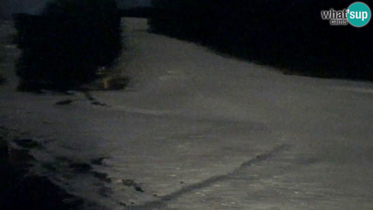 Web Camera Pohorje Trikotna Jasa | Poštela