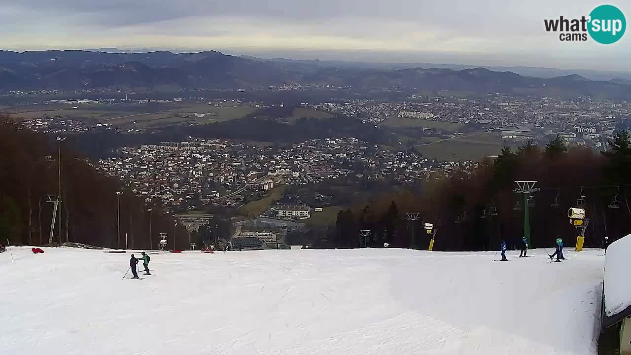 Web Camera Pohorje Trikotna Jasa | Poštela
