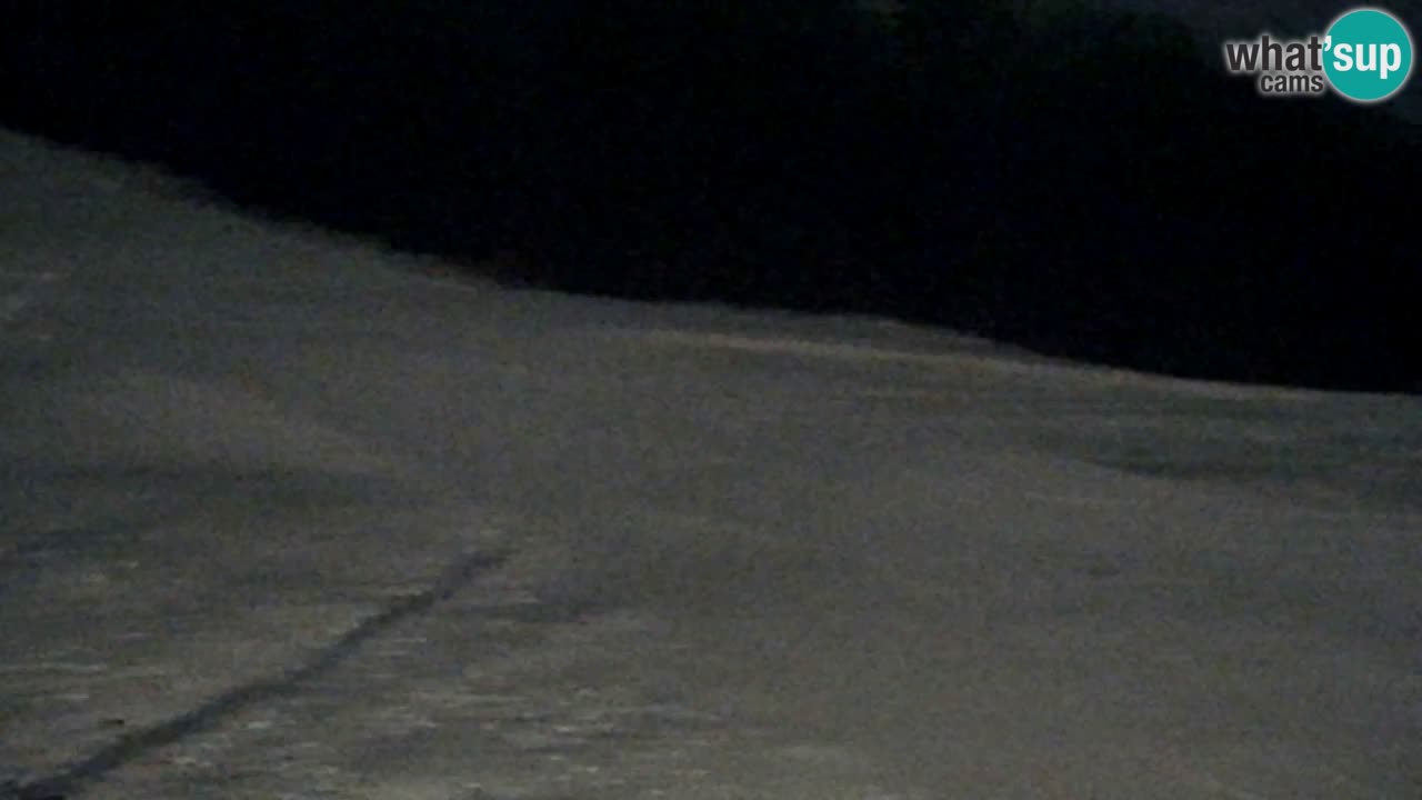 Webcam Pohorje Trikotna Jasa | Poštela