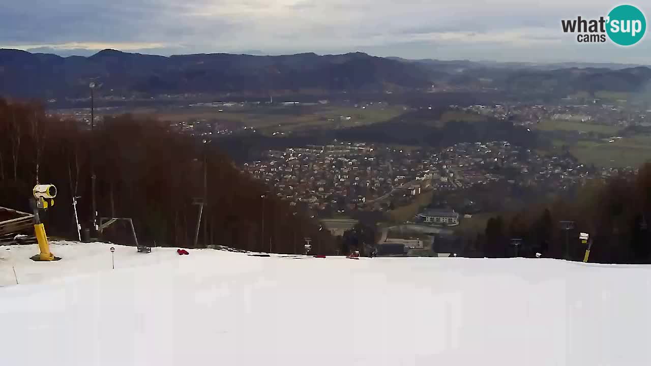 Web Camera Pohorje Trikotna Jasa | Poštela
