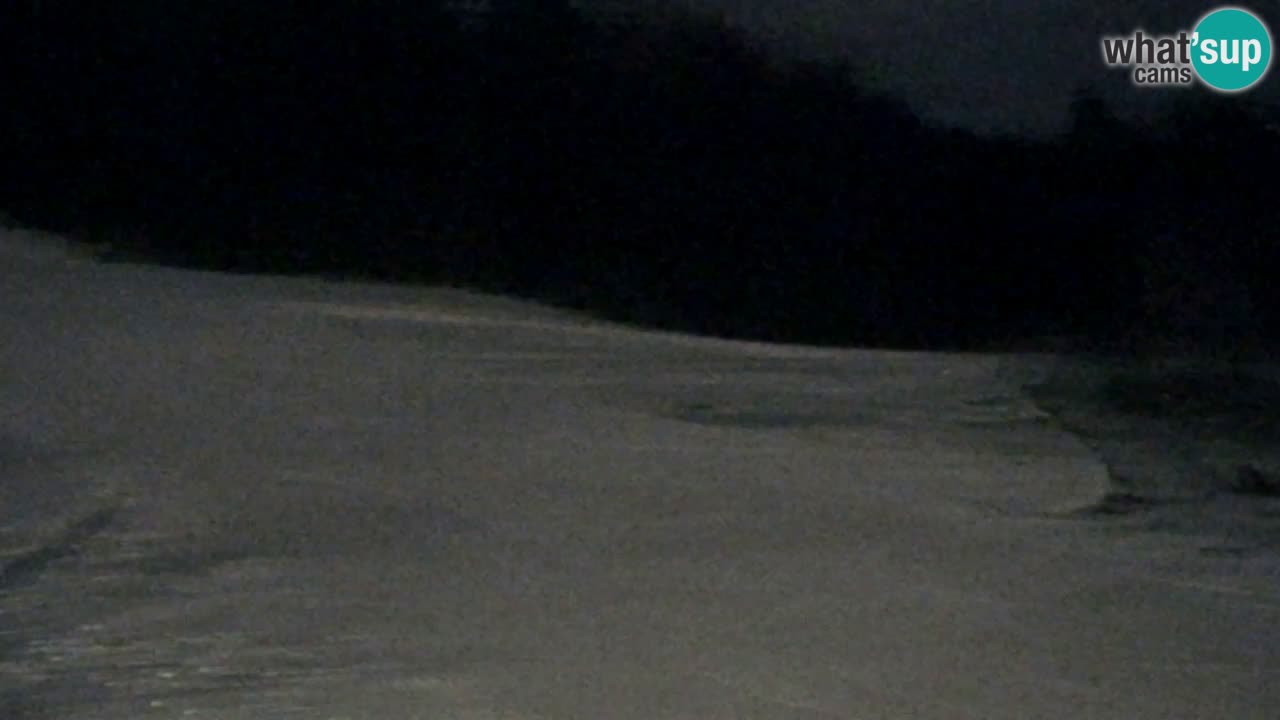 Webcam Pohorje Trikotna Jasa | Poštela