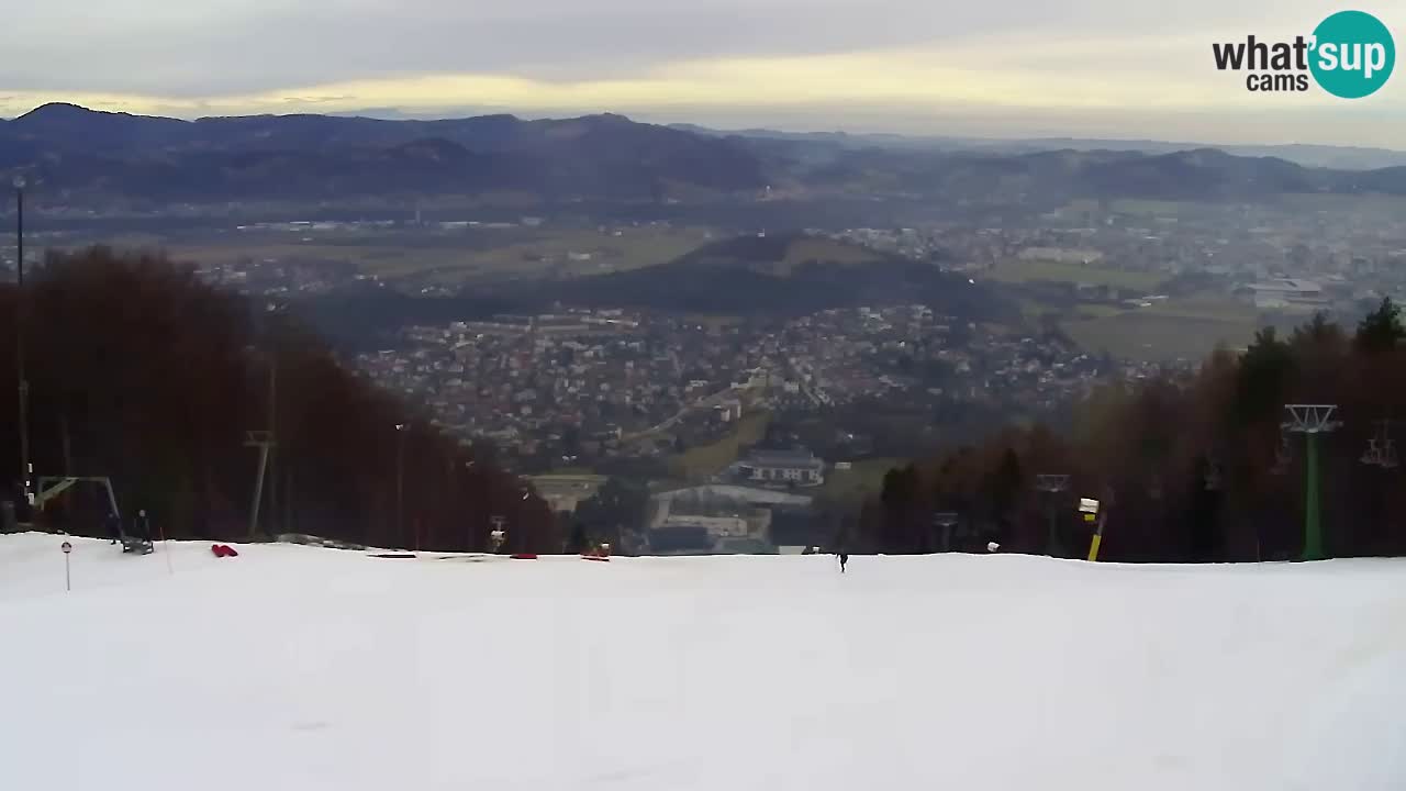 Webcam Pohorje Trikotna Jasa | Poštela
