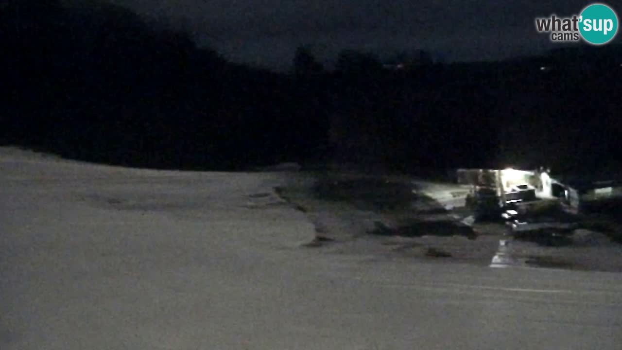 Webcam Pohorje Trikotna Jasa | Poštela