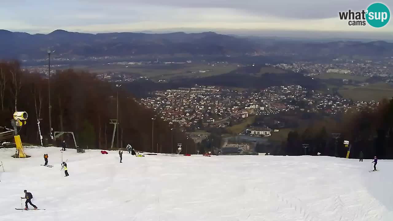 Webcam Pohorje Trikotna Jasa | Poštela