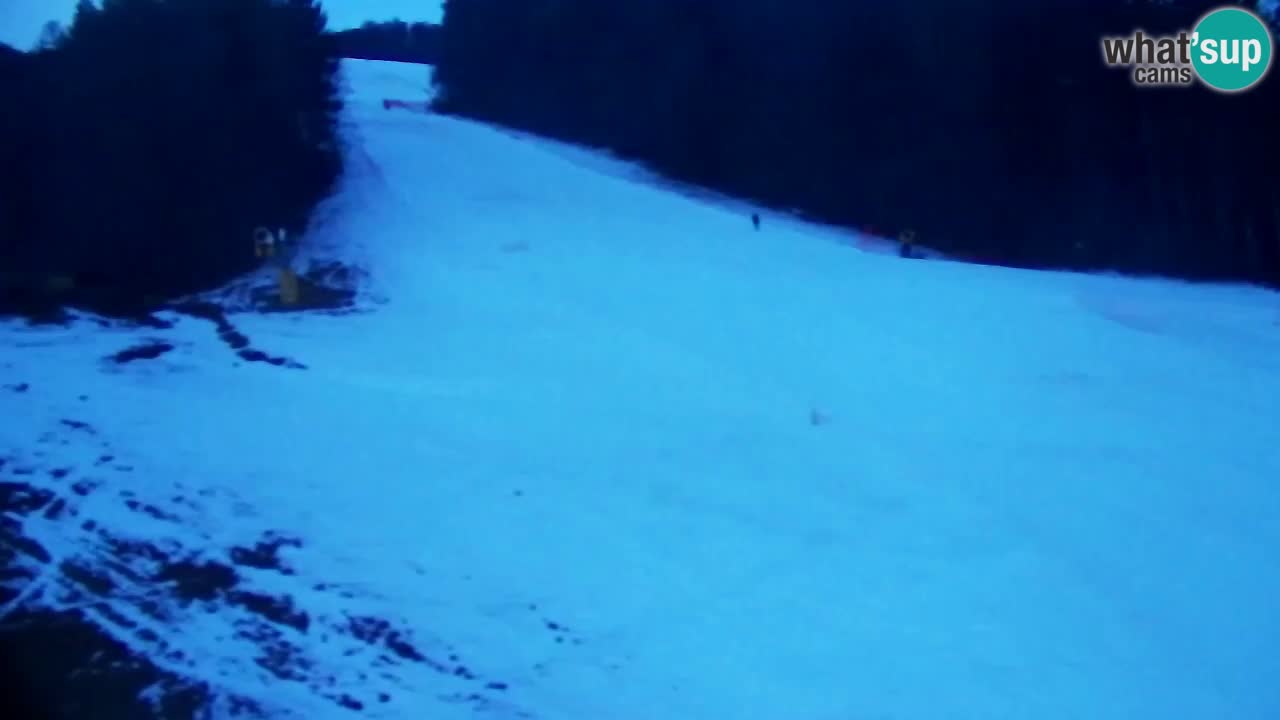 Web Camera Pohorje Trikotna Jasa | Poštela