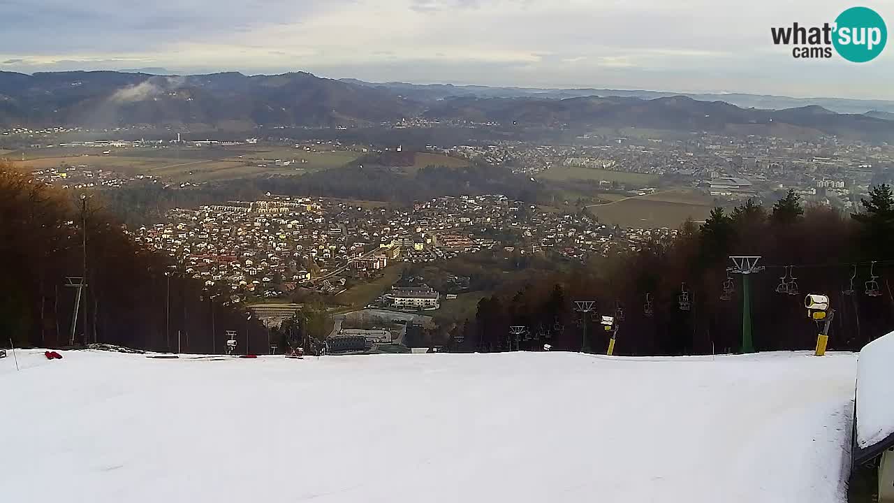Webcam Pohorje Trikotna Jasa | Poštela