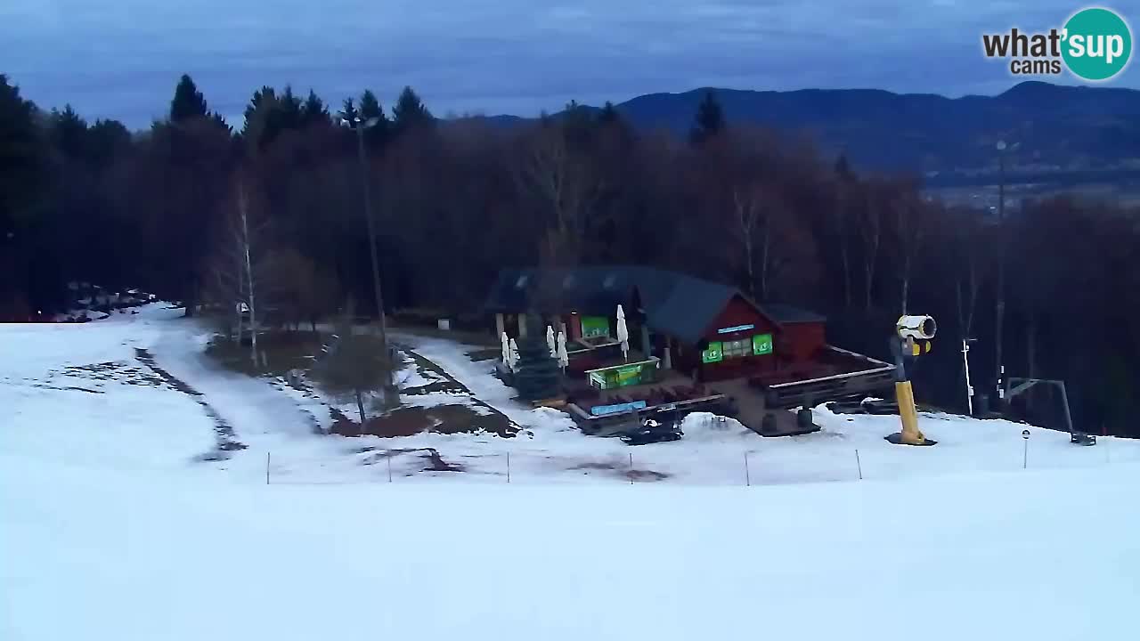 Webcam Pohorje Trikotna Jasa | Poštela