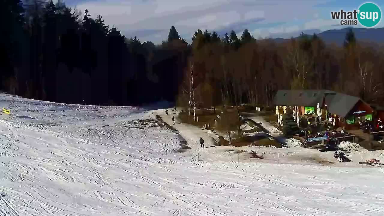 Webcam Pohorje Trikotna Jasa | Poštela