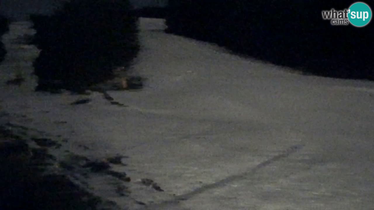 Web Camera Pohorje Trikotna Jasa | Poštela