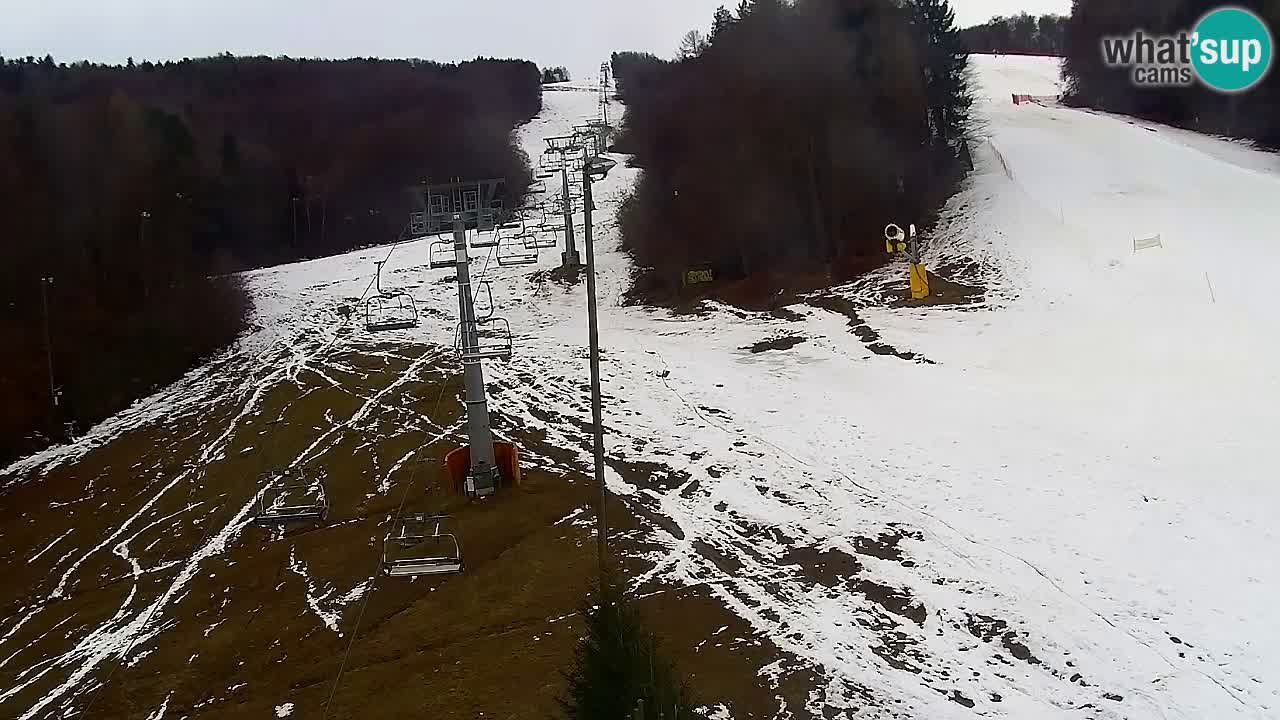 Webcam Pohorje Trikotna Jasa | Poštela