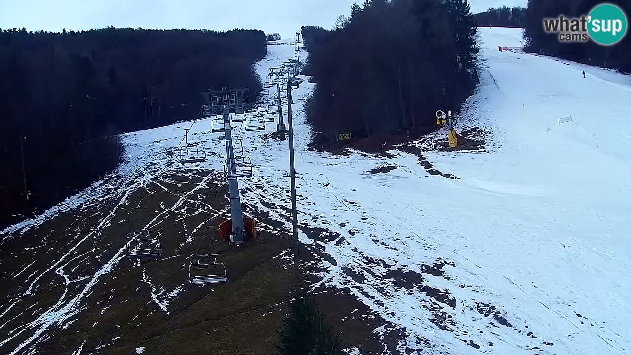 Web Camera Pohorje Trikotna Jasa | Poštela