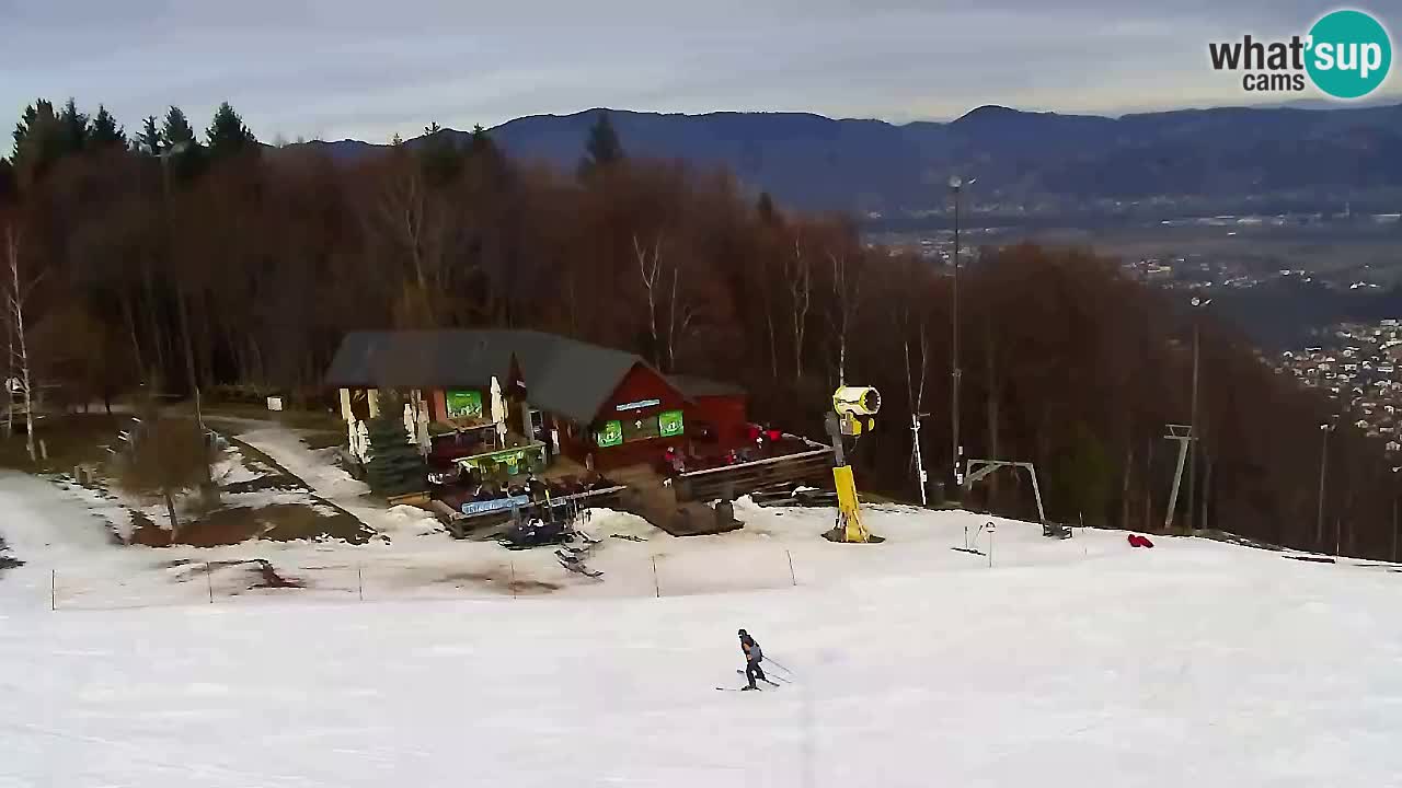 Webcam Pohorje Trikotna Jasa | Poštela