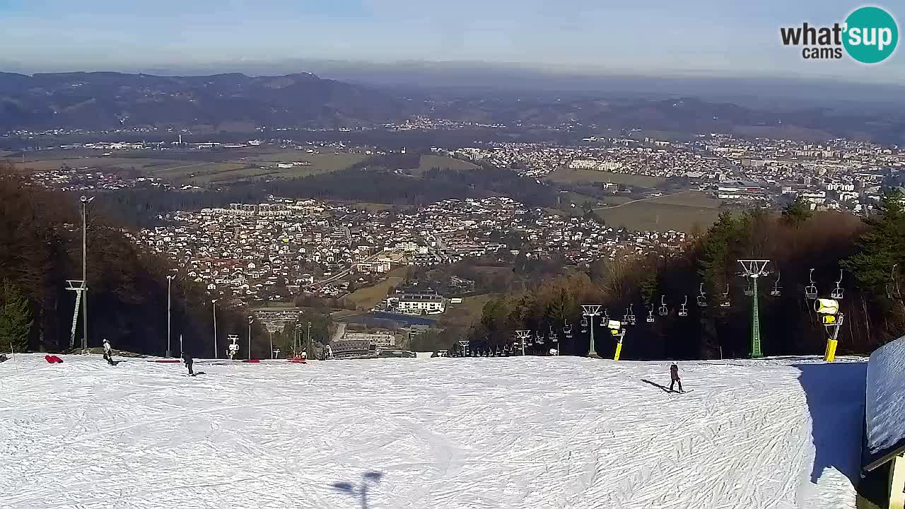Webcam Pohorje Trikotna Jasa | Poštela