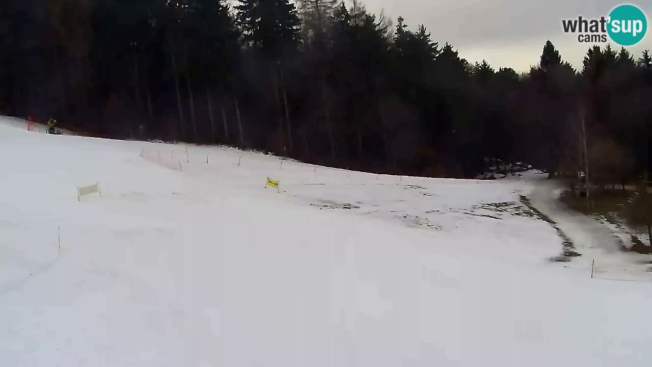 Web kamera Pohorje Trikotna Jasa | Poštela