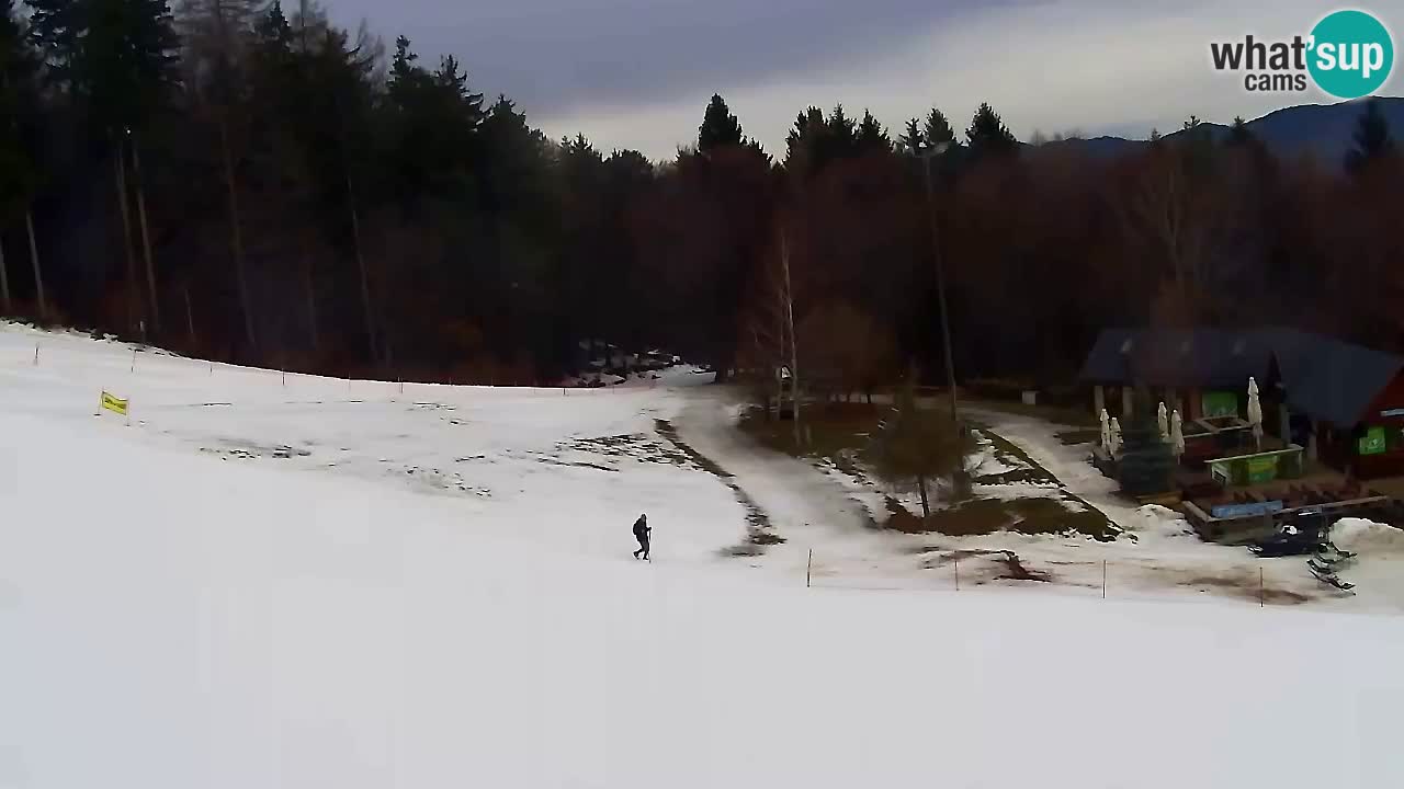 Webcam Pohorje Trikotna Jasa | Poštela