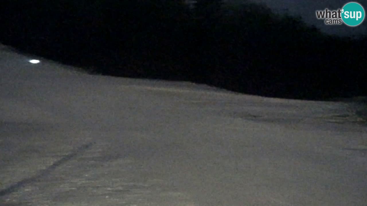 Spletna Kamera Pohorje Trikotna Jasa | Poštela