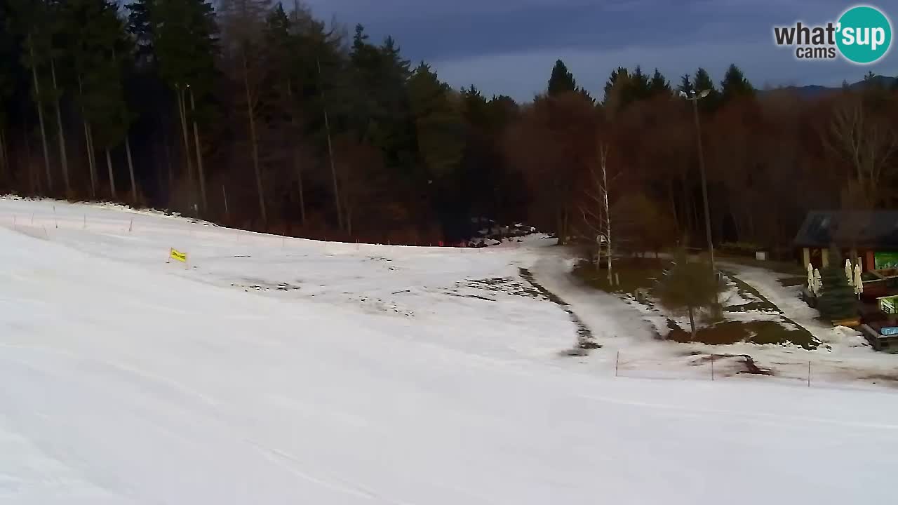 Webcam Pohorje Trikotna Jasa | Poštela