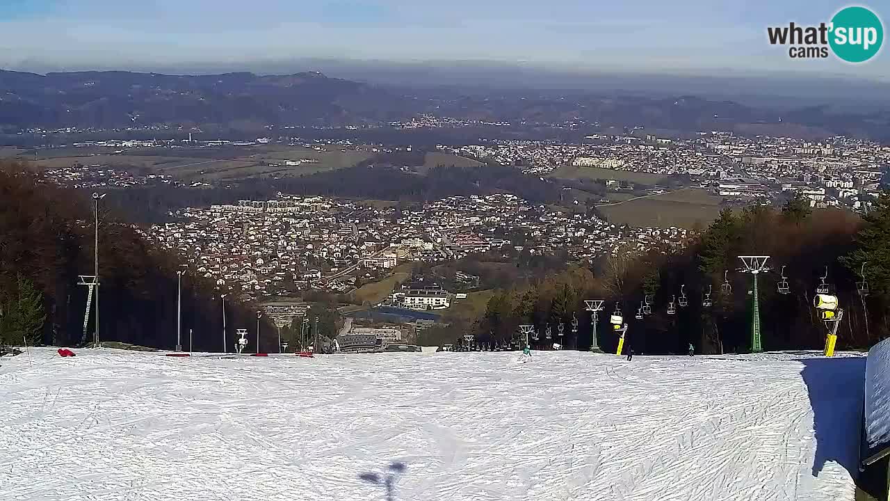 Webcam Pohorje Trikotna Jasa | Poštela