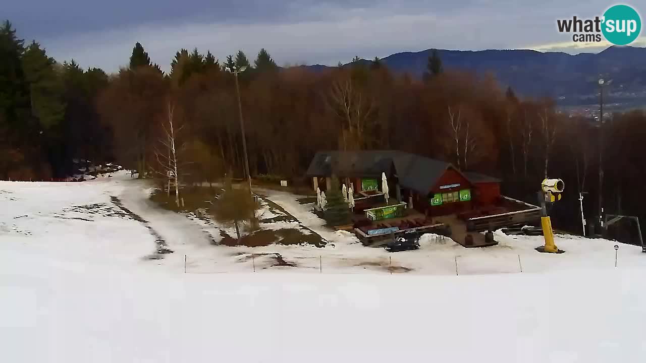 Webcam Pohorje Trikotna Jasa | Poštela