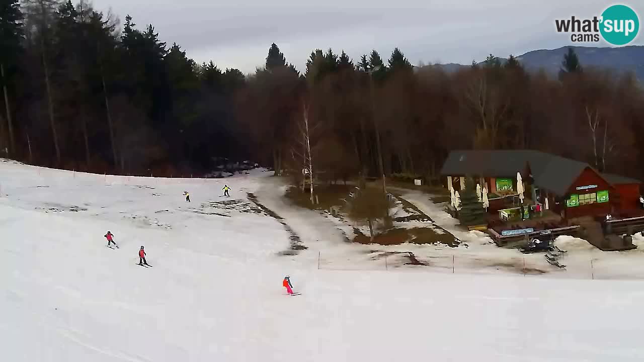 Webcam Pohorje Trikotna Jasa | Poštela