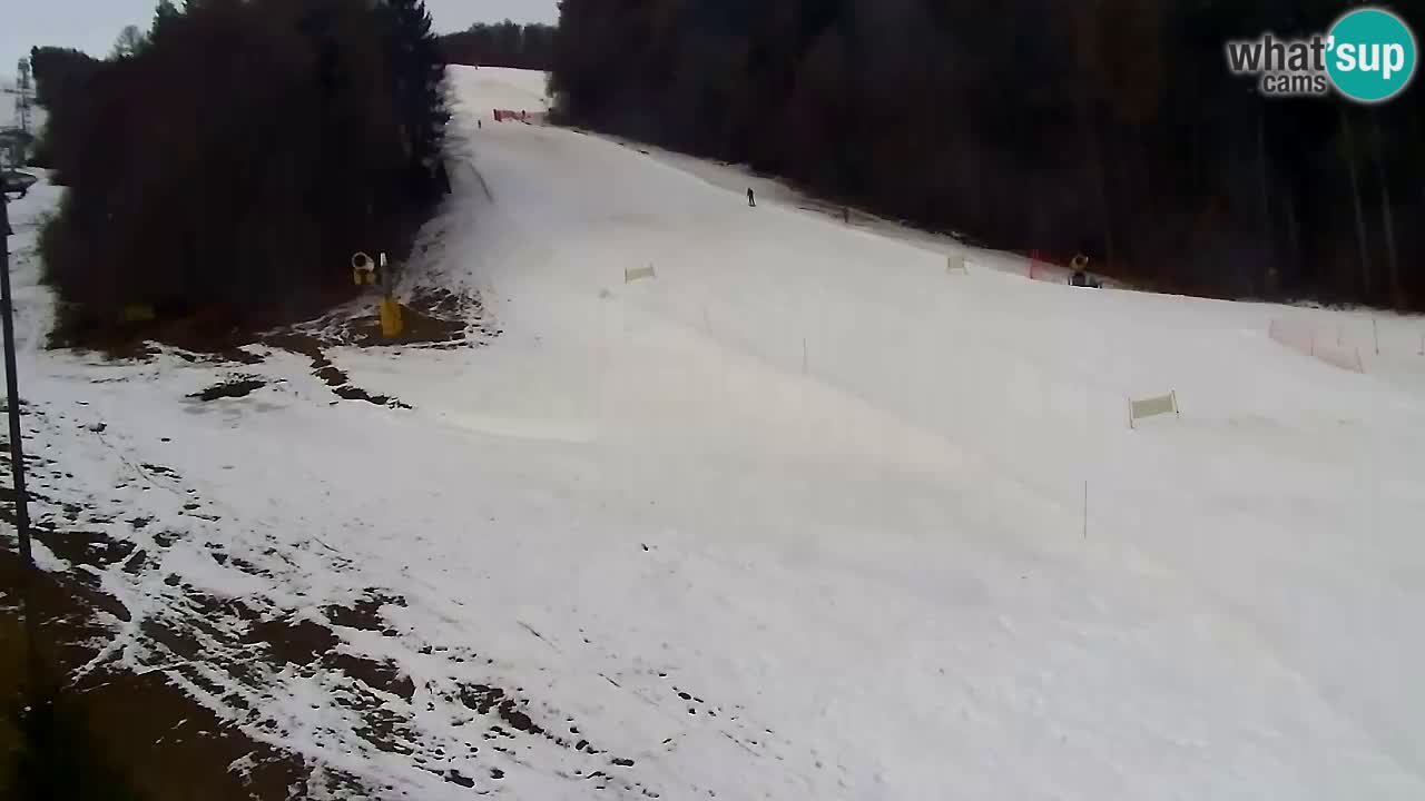 Web Camera Pohorje Trikotna Jasa | Poštela