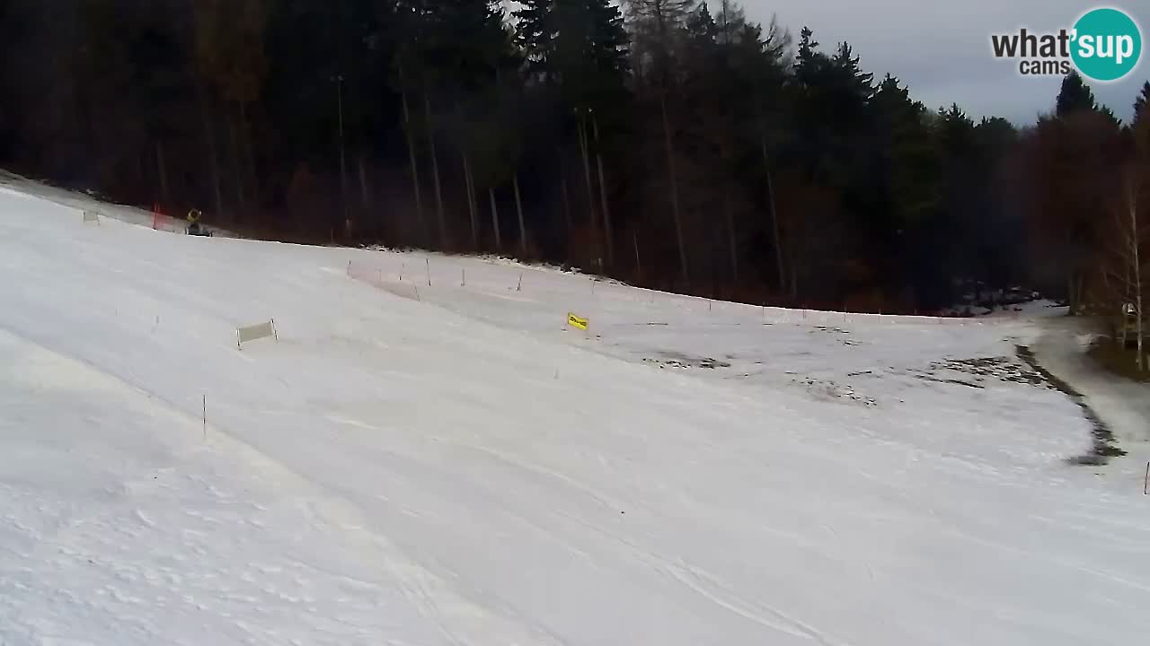Web Camera Pohorje Trikotna Jasa | Poštela