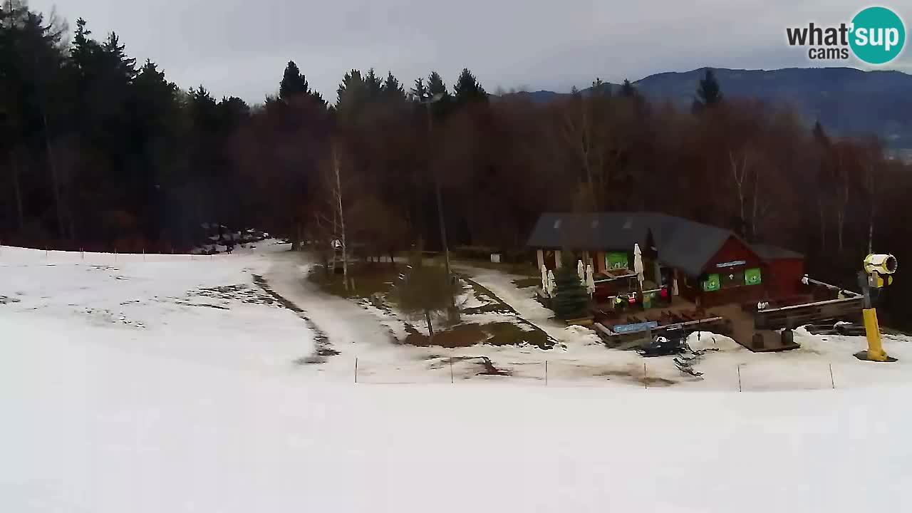 Webcam Pohorje Trikotna Jasa | Poštela